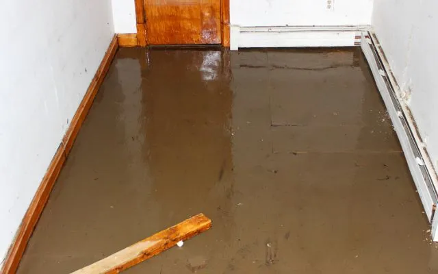 Flooded Room with a Floating Log