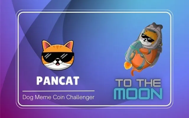 Pancat Coin - The Dog Meme Coin Challenger and Pancat Going to the Moon