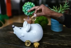 finance showcasing are dropped in a piggybank