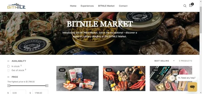Bitnile Shop Homepage